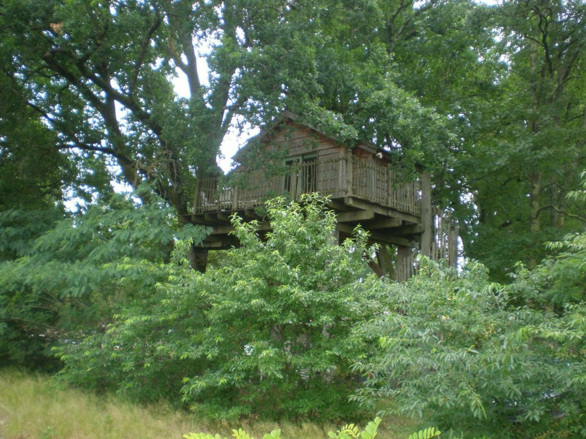 Cabane Perchee Solférino Exteriör bild