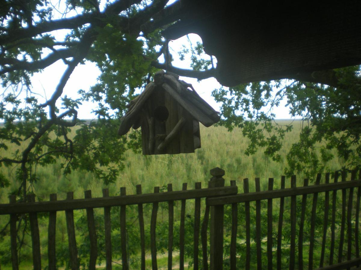 Cabane Perchee Solférino Exteriör bild